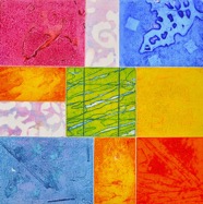 Containers kopia.jpg